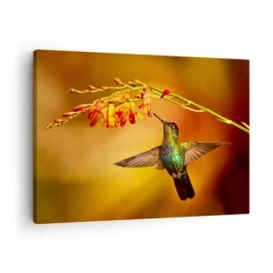 Tablou pe pânză Canvas - Colibri lângă o floare în lumina caldă - 70x50cm - Mesagerul mayaș al luminii - Decorațiune modernă pentru perete pentru living și dormitor ARTTOR