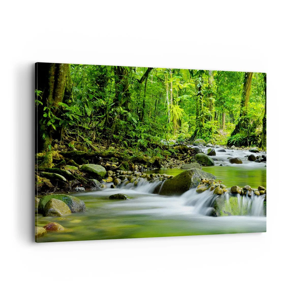 Tablou pe pânză - Să înotăm într-o mare de verde - 100x70 cm