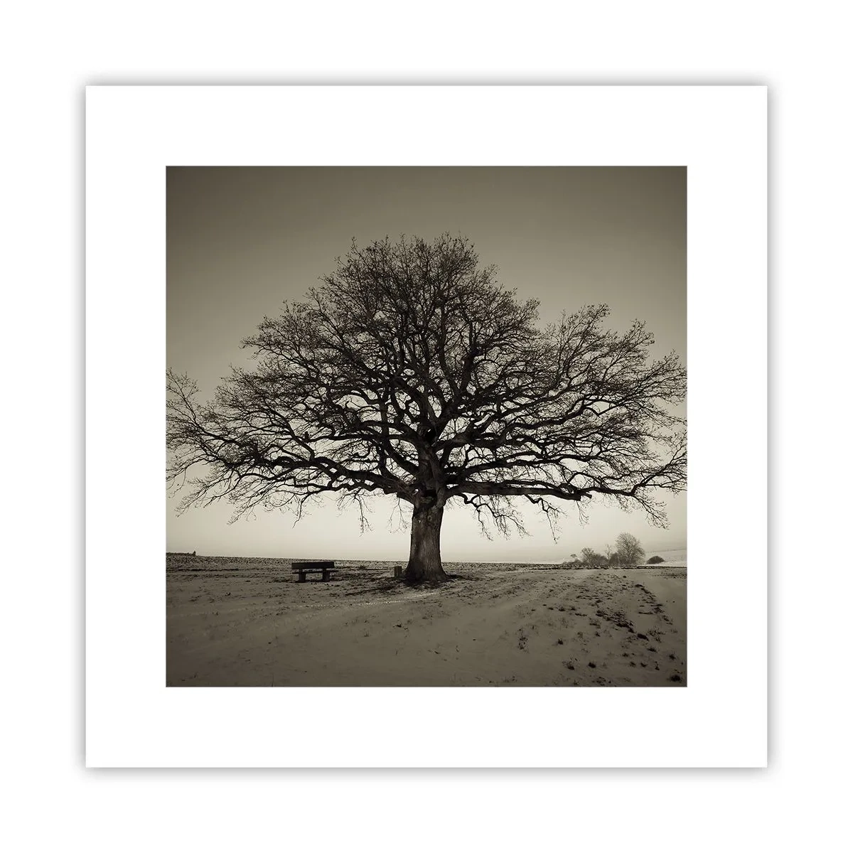 Poster - De aici până în veșnicie - 30x30 cm