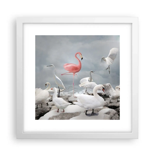 Poster în ramă albă - De unde am venit? - 30x30 cm