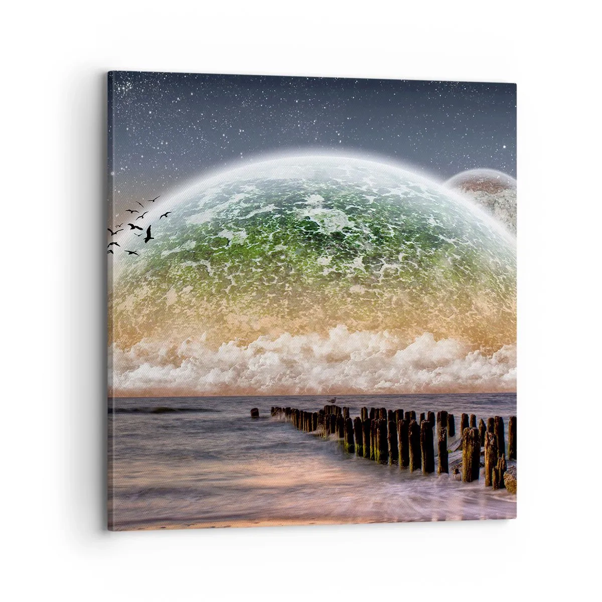 Tablou pe pânză - Și lumea a ieșit din apă - 70x70 cm