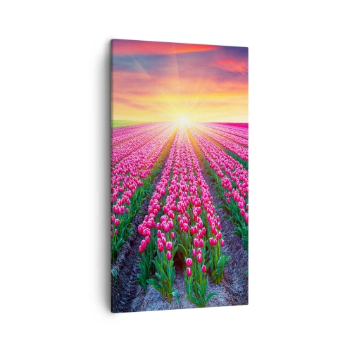 Tablou pe pânză - Ferma de frumusețe - 45x80 cm