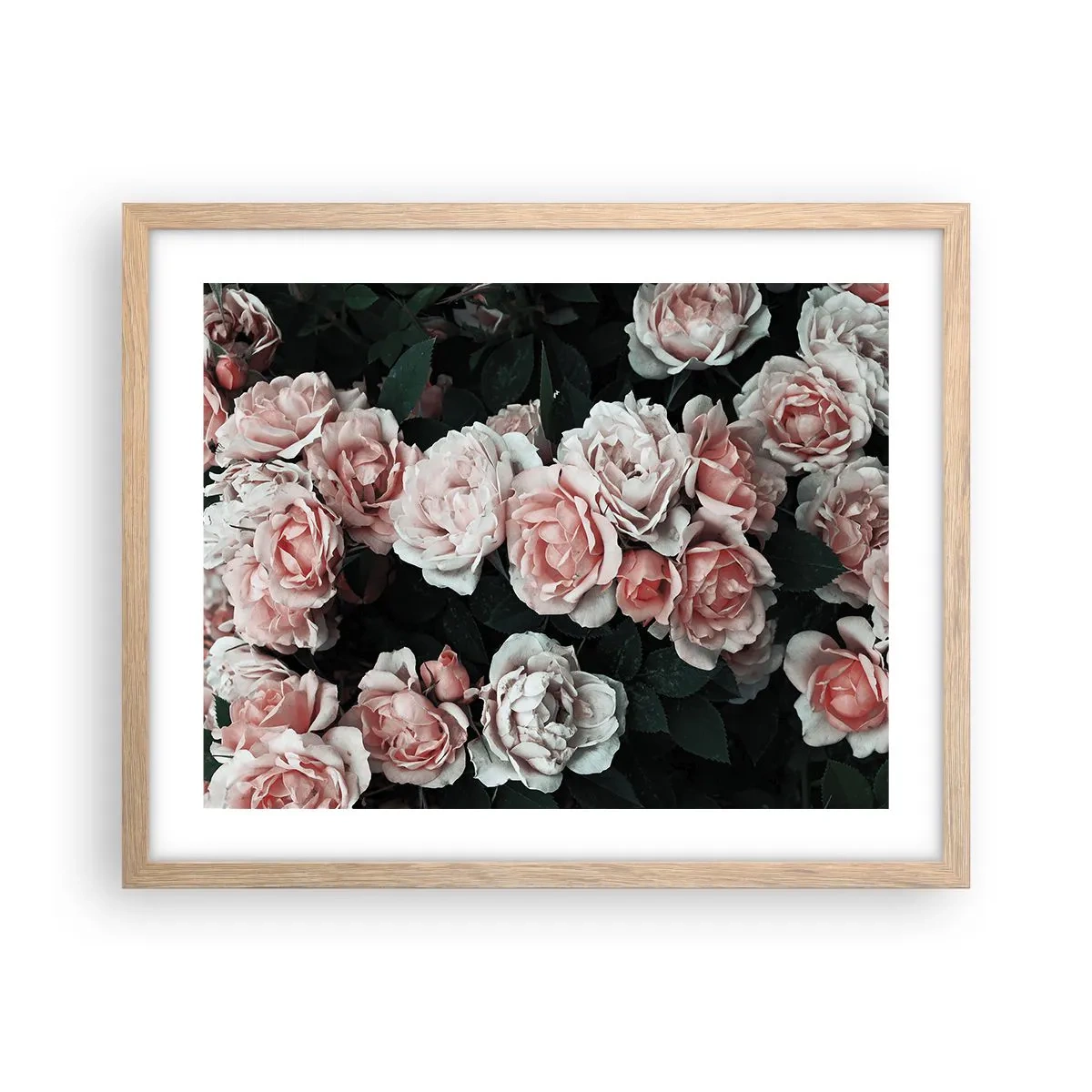 Poster în ramă de stejar deschis - Ansamble de trandafiri - 50x40 cm