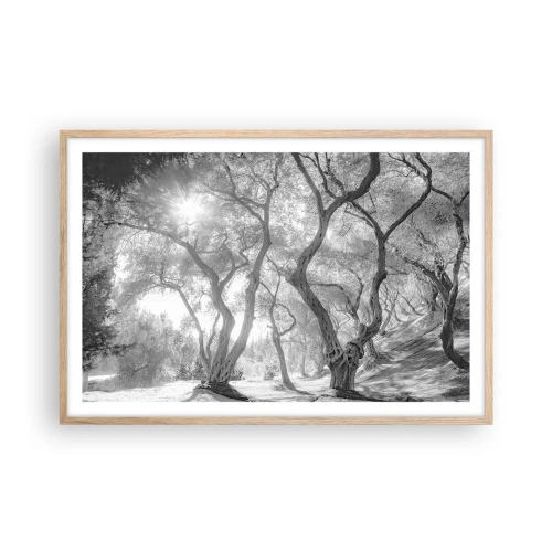Poster în ramă de stejar deschis - Într-o livadă de măslini - 91x61 cm