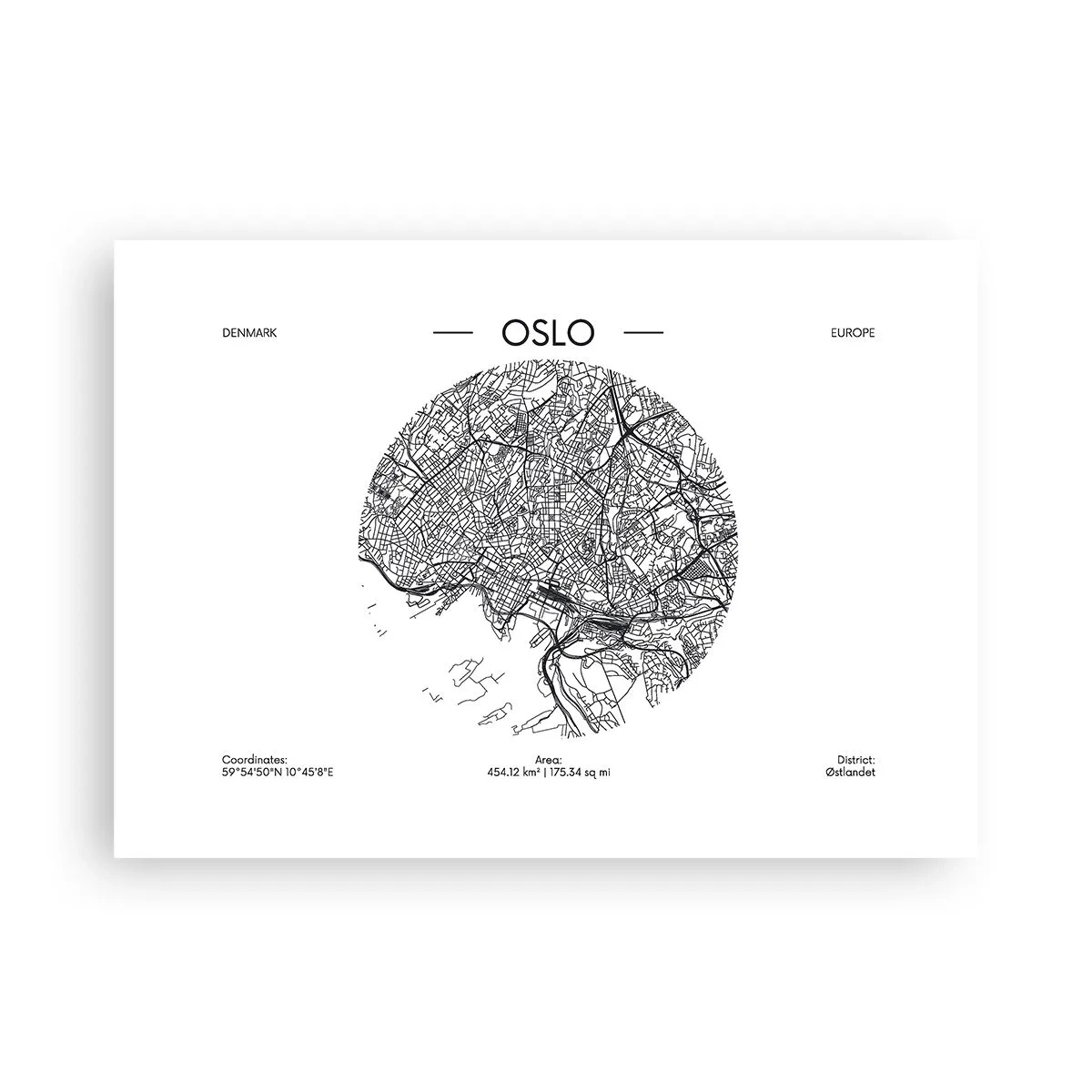 Poster - Anatomia Oslo - 70x50 cm
