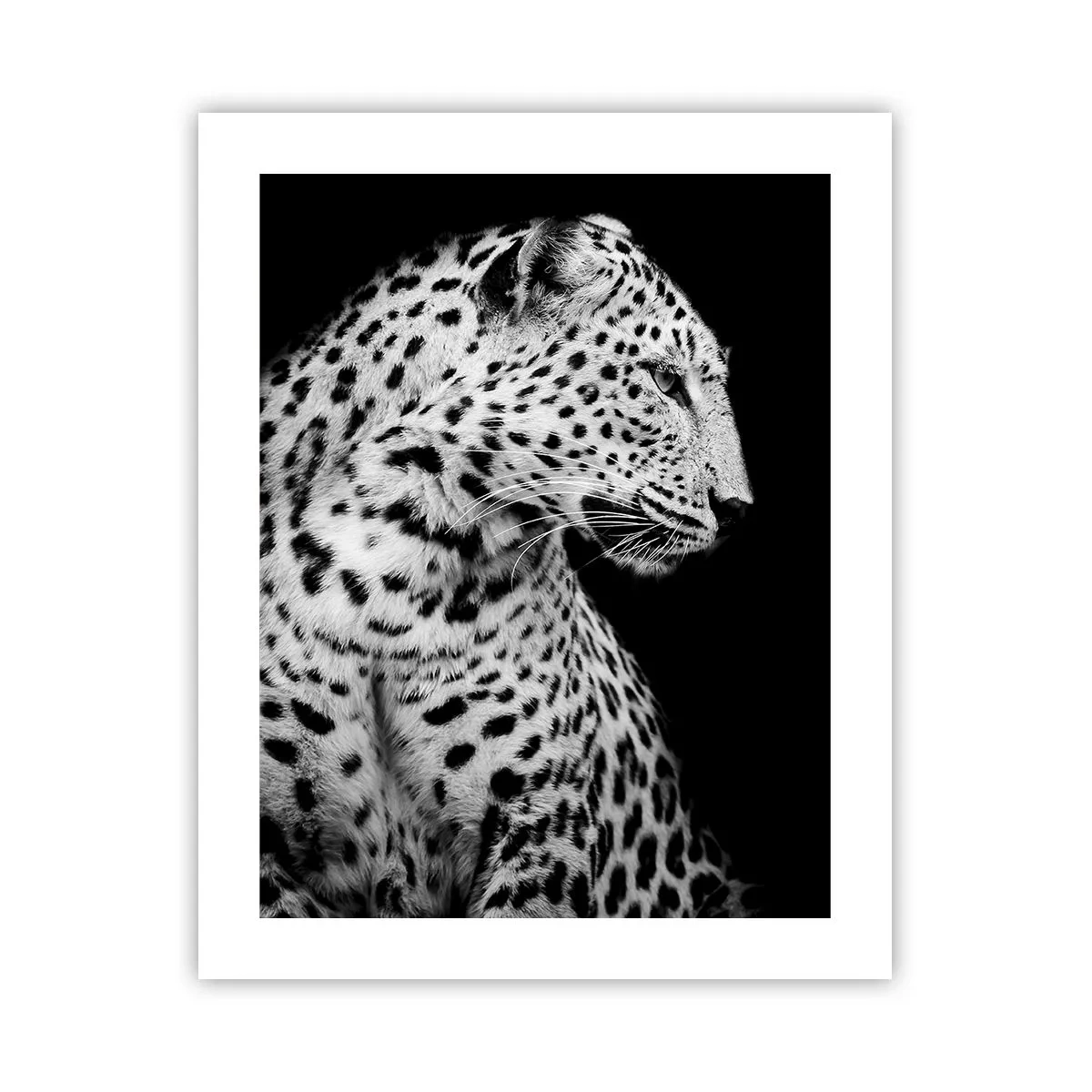 Poster - Profilul drept perfect! - 40x50 cm