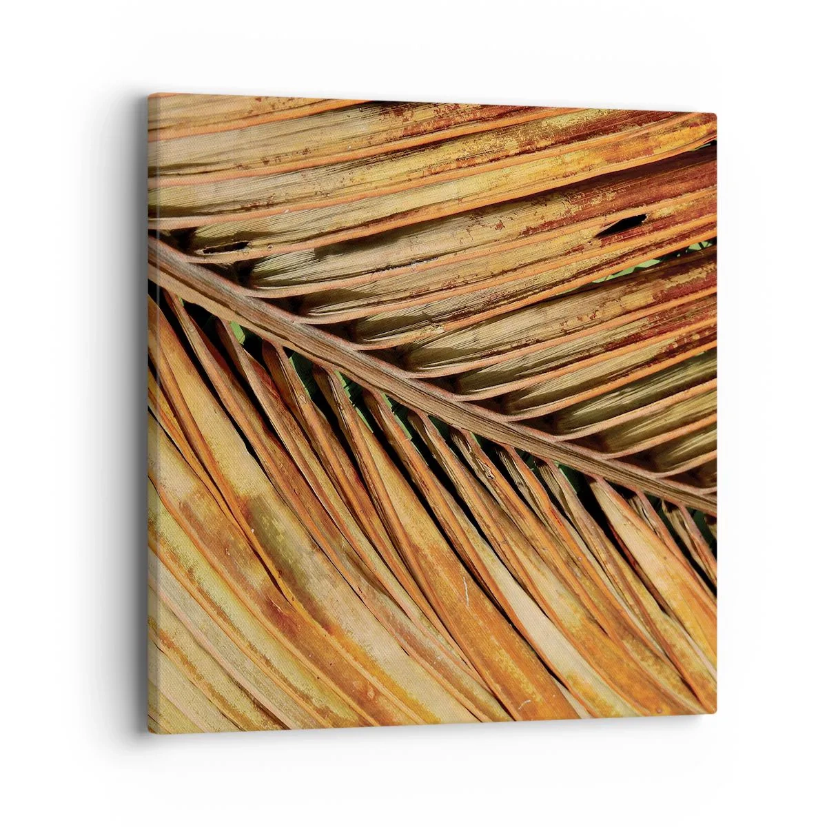 Tablou pe pânză - Aur de nucă de cocos - 40x40 cm