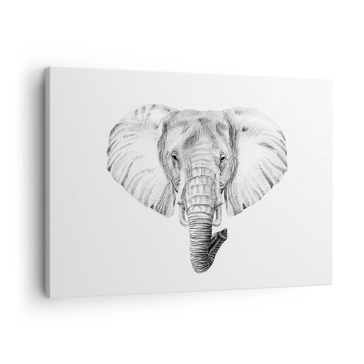 Tablou pe pânză Canvas - Desen alb-negru al unui cap de elefant pe fundal alb - 70x50cm - Mare ca un elefant - Decorațiune modernă pentru perete pentru living și dormitor ARTTOR