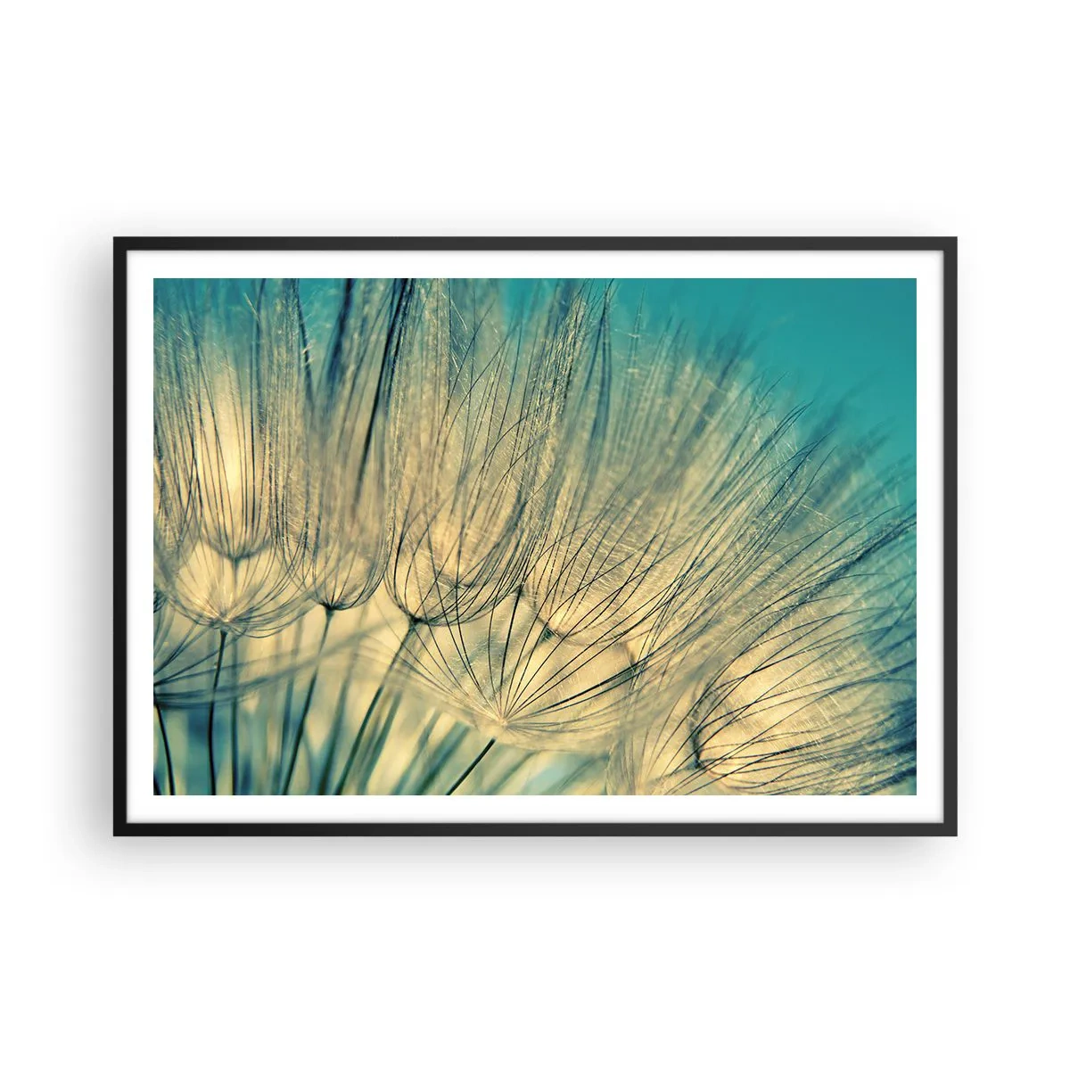 Poster în ramă neagră - Așteptând vântul - 100x70 cm