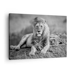 Tablou pe pânză Canvas - Leu odihnindu-se pe o stâncă în stil monocrom - 70x50cm - Siesta regală - Decorațiune modernă pentru perete pentru living și dormitor ARTTOR