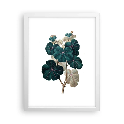 Poster în ramă albă - Dintr-un vechi ierbar - 30x40 cm