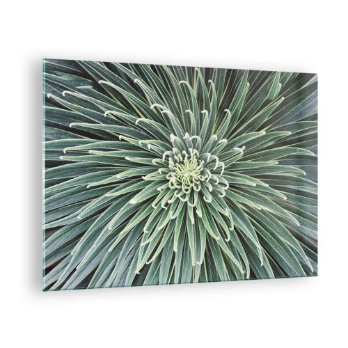 Tablou pe sticlă - Rozetă simetrică de frunze verzi în macrofotografie - 70x50cm - Nașterea unei stele - Decorațiune modernă pentru perete pentru living și dormitor ARTTOR