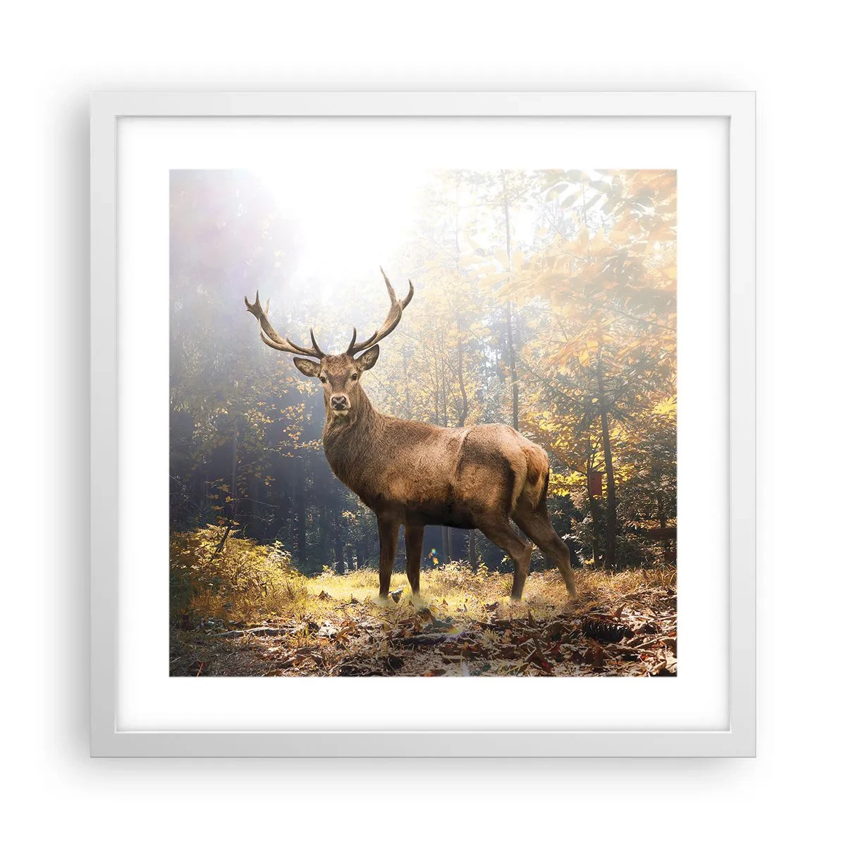 Poster în ramă albă - Măreție calmă - 40x40 cm