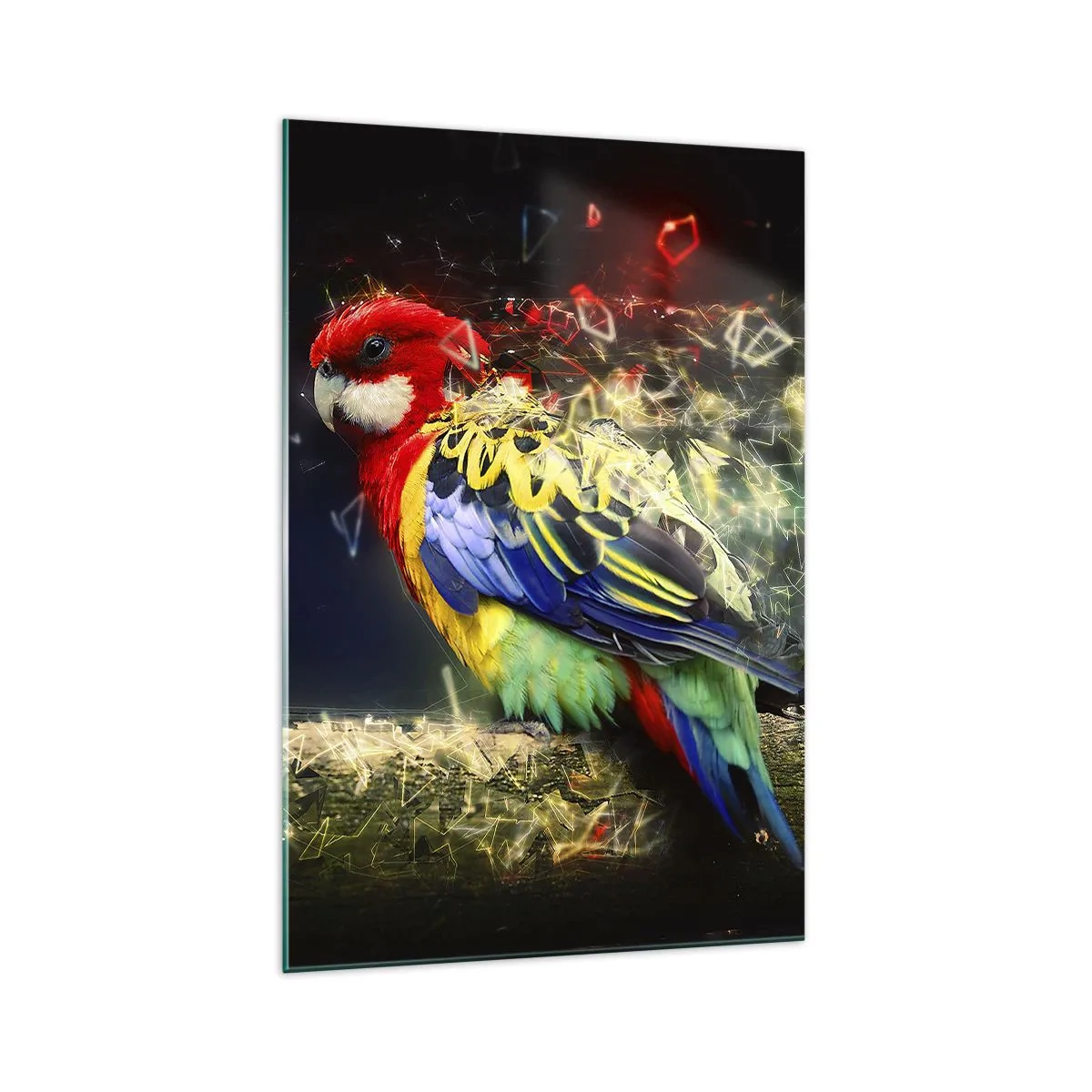 Tablou pe sticlă - Mesagerul strălucirii - 70x100 cm