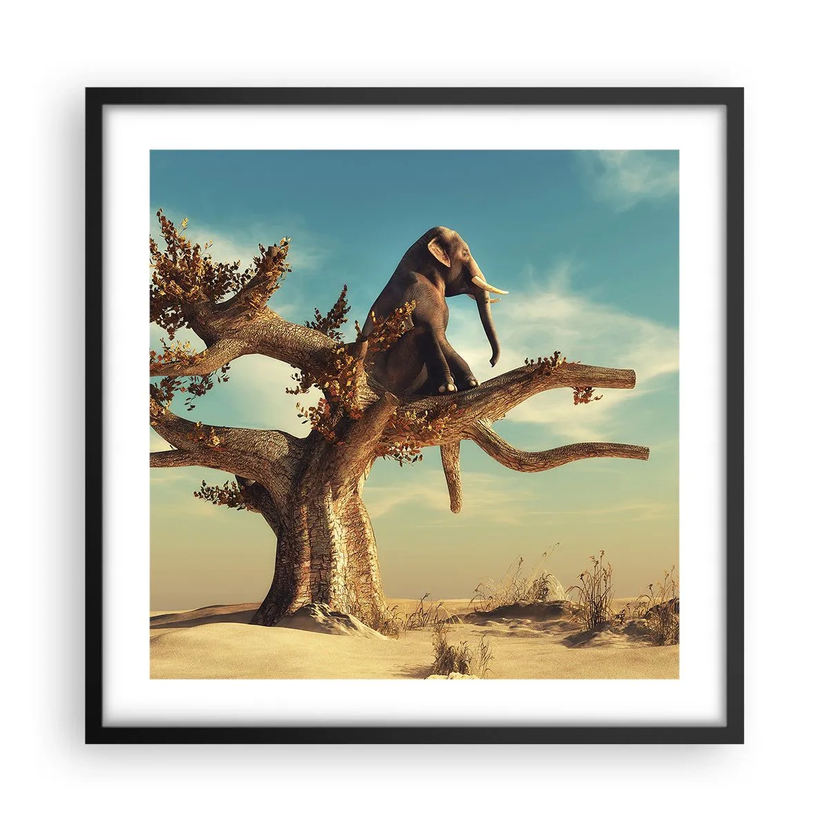 Poster în ramă neagră - Un nou punct de vedere - 50x50 cm