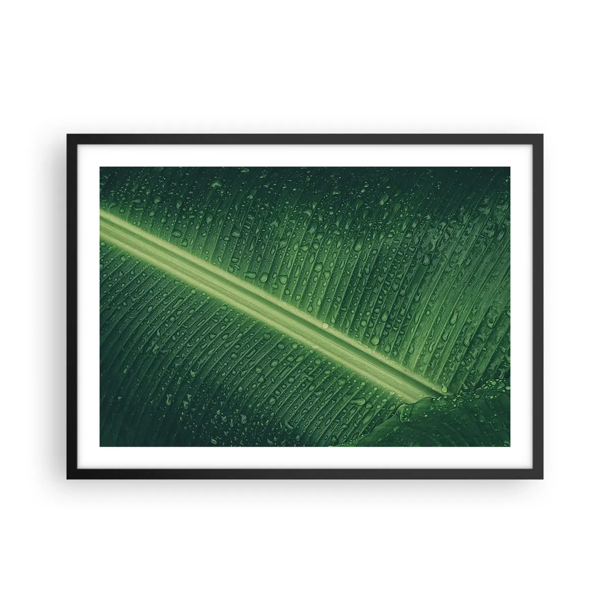 Poster în ramă neagră - Structura verdelui - 70x50 cm