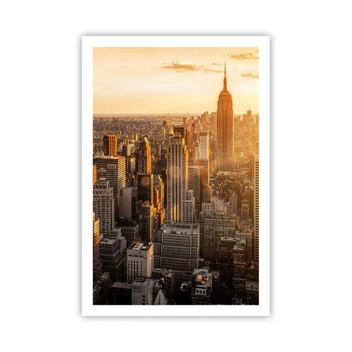 Poster - Crescând la soare - 61x91 cm