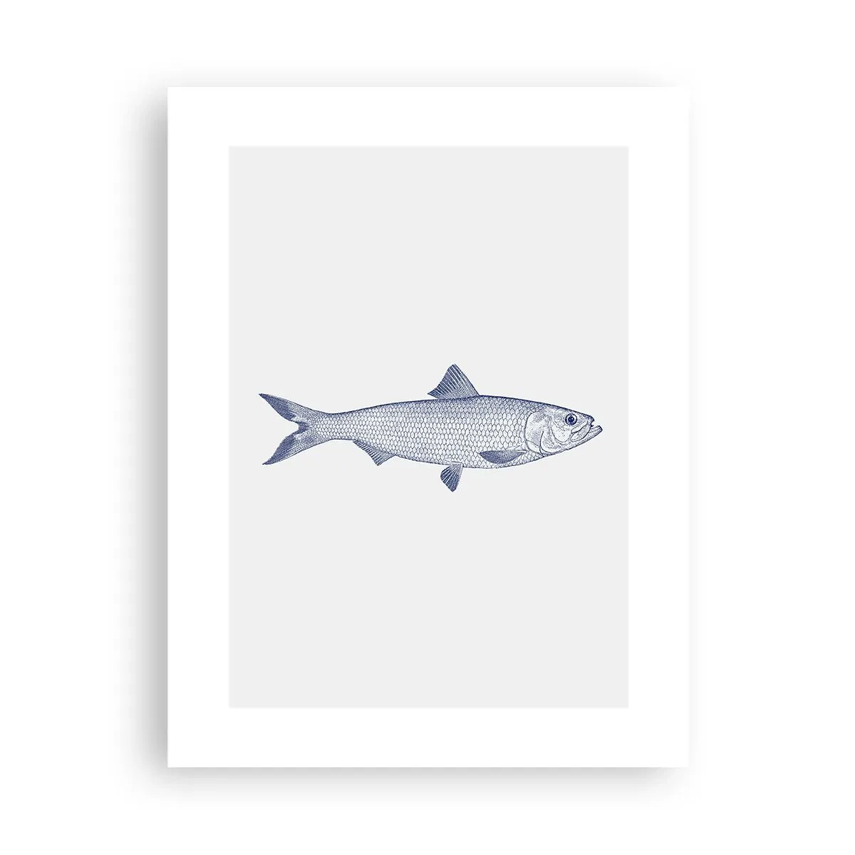 Poster - Salutări din mările nordice - 30x40 cm