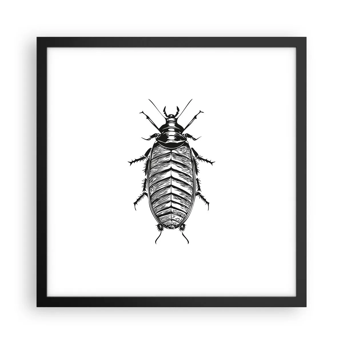 Poster în ramă neagră - Ce specimen! - 40x40 cm