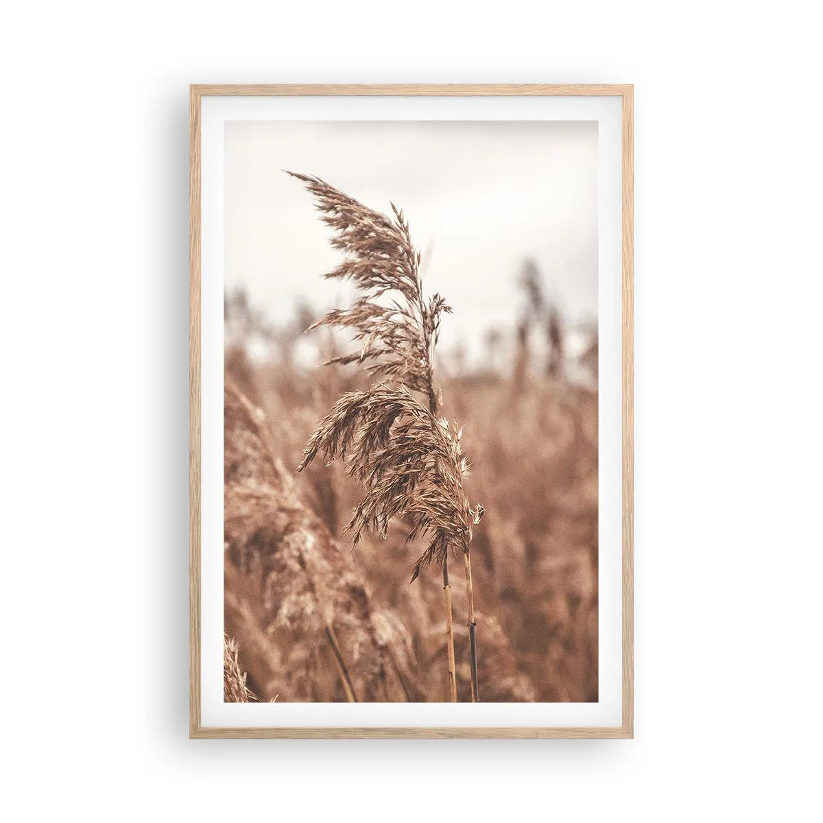 Poster în ramă de stejar deschis - Toamna pe câmpuri - 61x91 cm