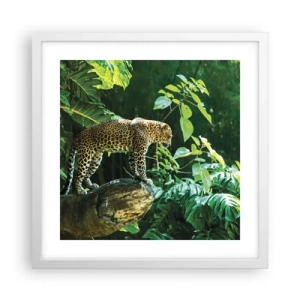 Poster în ramă albă - La vânătoare? - 40x40 cm