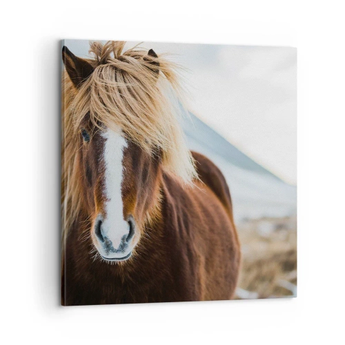 Tablou pe pânză - Simțiți libertatea? - 60x60 cm