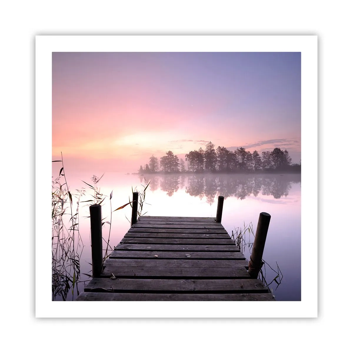 Poster - Din ceața de liliac... - 60x60 cm