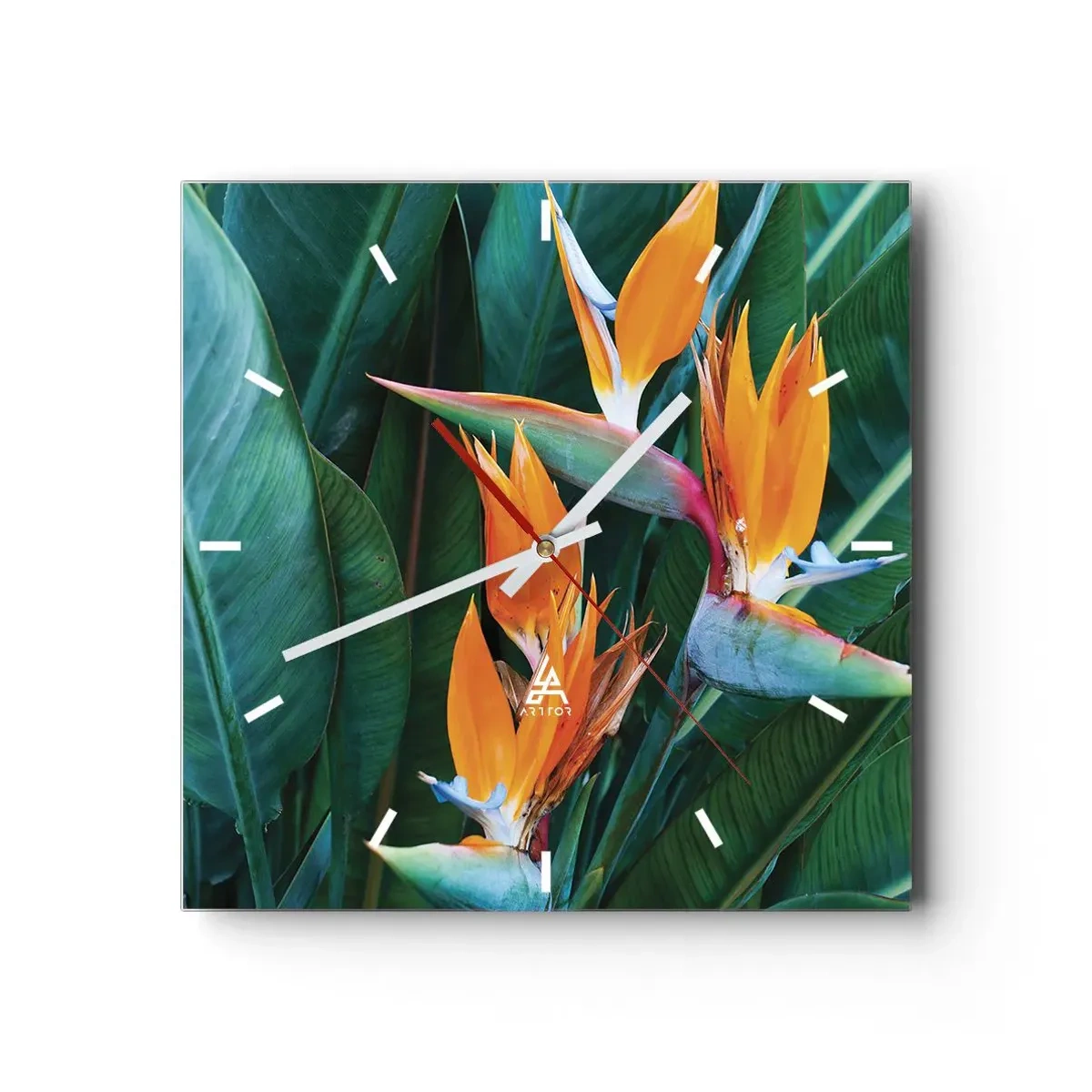 Ceas de perete - Ceas pe sticlă - Este o floare sau o pasăre? - 30x30 cm