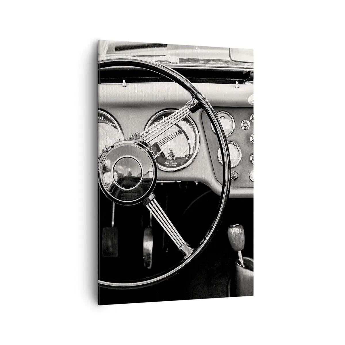 Tablou pe pânză - Visul unui colecționar - 80x120 cm