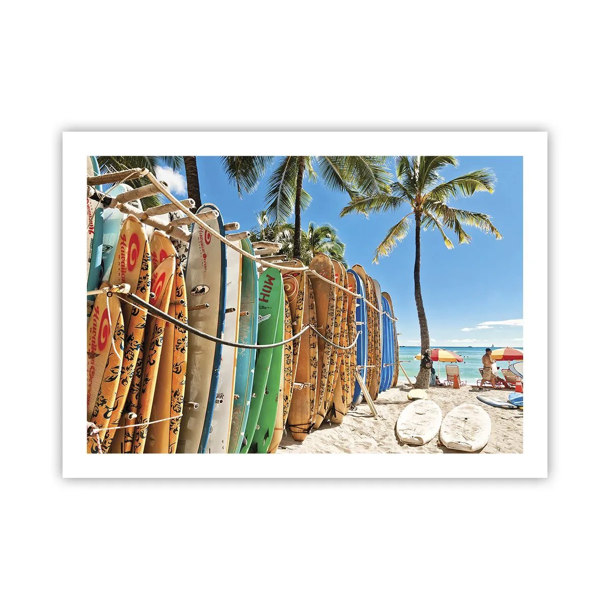 Poster - Distracție însorită - 70x50 cm