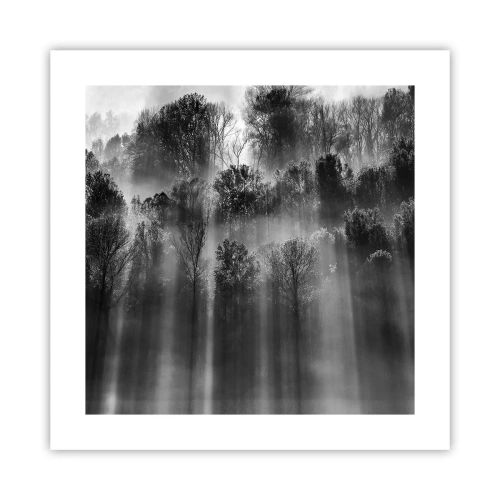 Poster - În fluxuri de lumină - 40x40 cm