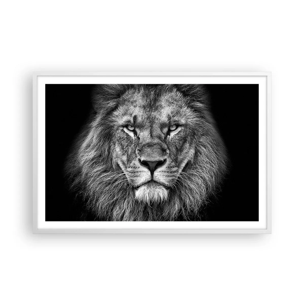 Poster în ramă albă - În ținuta de încoronare - 91x61 cm