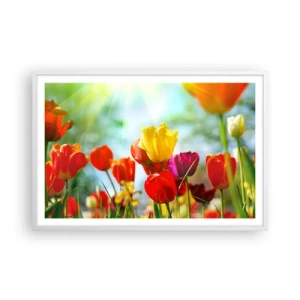 Poster în ramă albă - Toate culorile soarelui - 91x61 cm