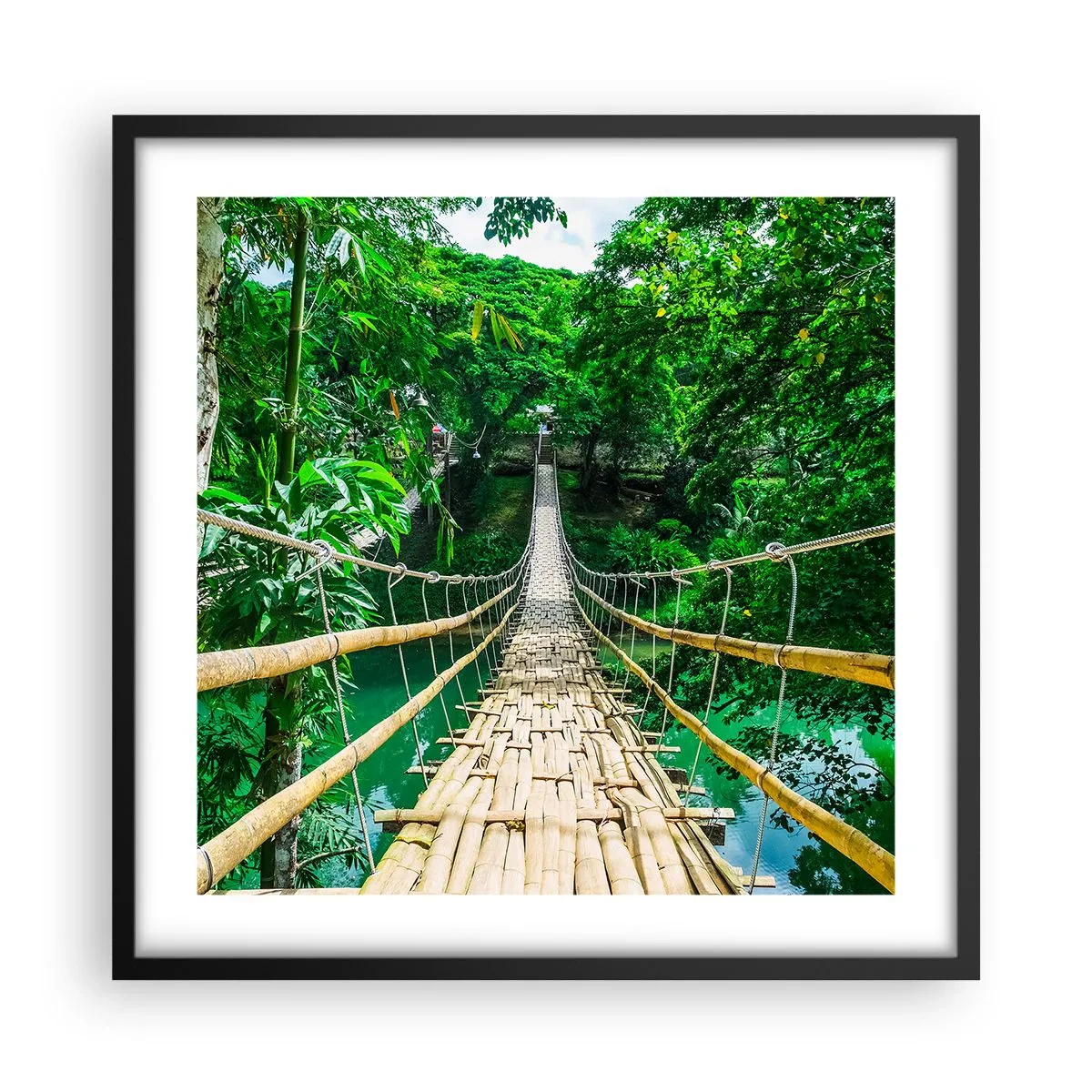 Poster în ramă neagră - Pod de maimuțe peste verdeață - 50x50 cm