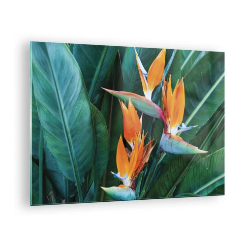 Tablou pe sticlă - Flori exotice de strelitzia printre frunze mari și verzi - 70x50cm - Este o floare sau o pasăre? - Decorațiune modernă pentru perete pentru living și dormitor ARTTOR