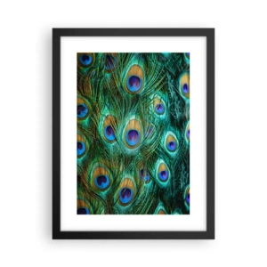 Poster în ramă neagră - O privire cu ochi de păun - 30x40 cm
