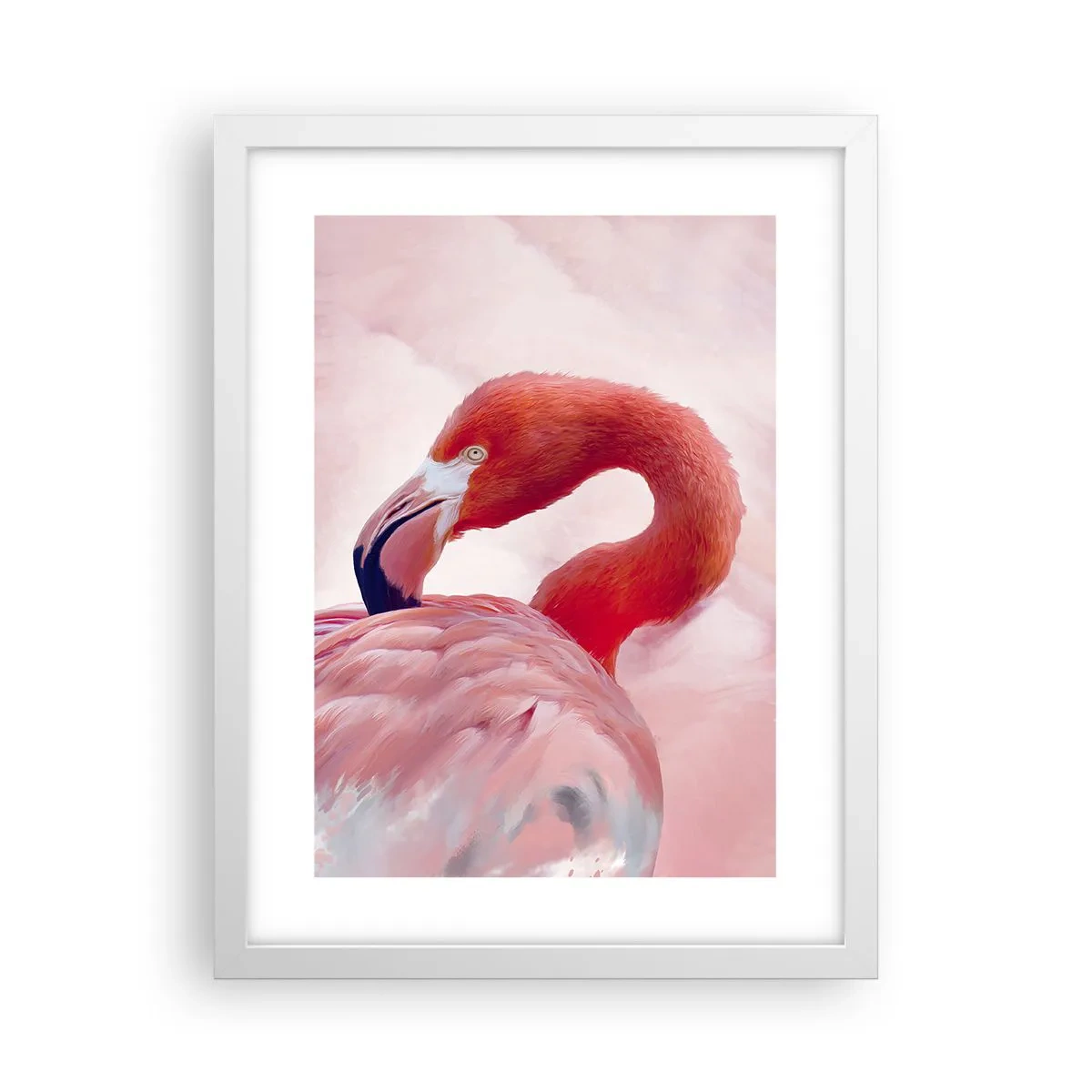 Poster în ramă albă - Frumusețea păsărilor - 30x40 cm