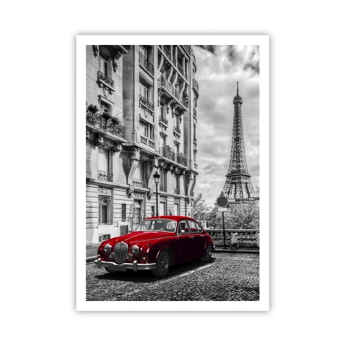 Poster - Prădător în oraș - 70x100 cm