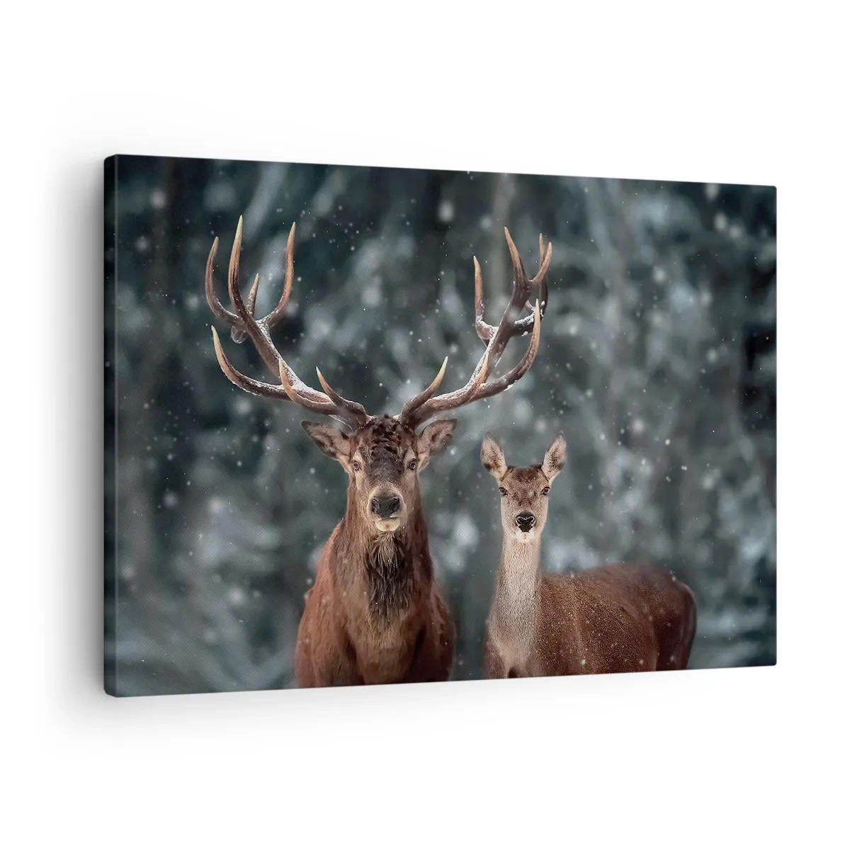 Tablou pe pânză Canvas - Cerb într-o pădure de iarnă acoperită de zăpadă - 70x50cm - Stăpânul pădurii și soția sa - Decorațiune modernă pentru perete pentru living și dormitor ARTTOR