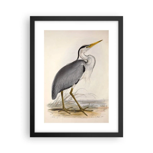 Poster în ramă neagră - Farmecul unui stârc - 30x40 cm