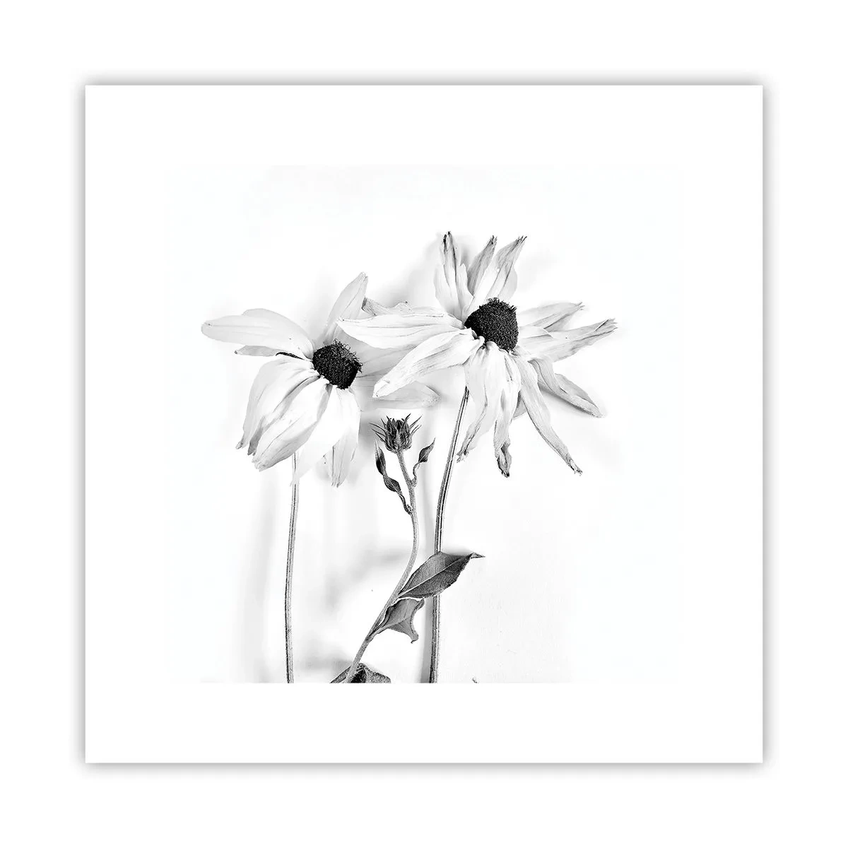 Poster - Nimeni nu vrea să fie singur - 30x30 cm