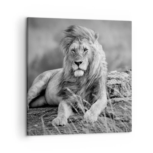 Tablou pe pânză - Siesta regală - 50x50 cm