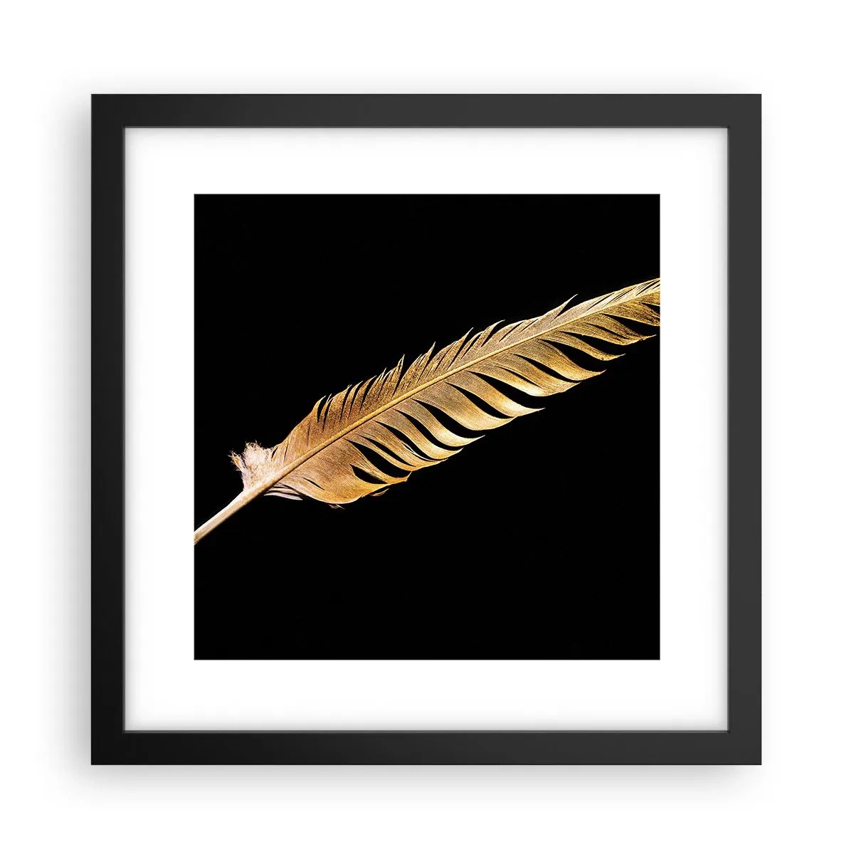 Poster în ramă neagră - Pană aurie perfectă - 30x30 cm