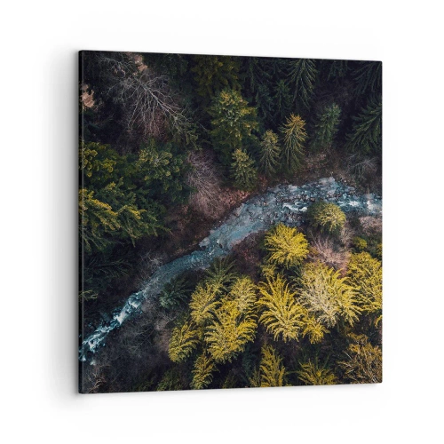 Tablou pe pânză - Rapid și mai rapid - 50x50 cm