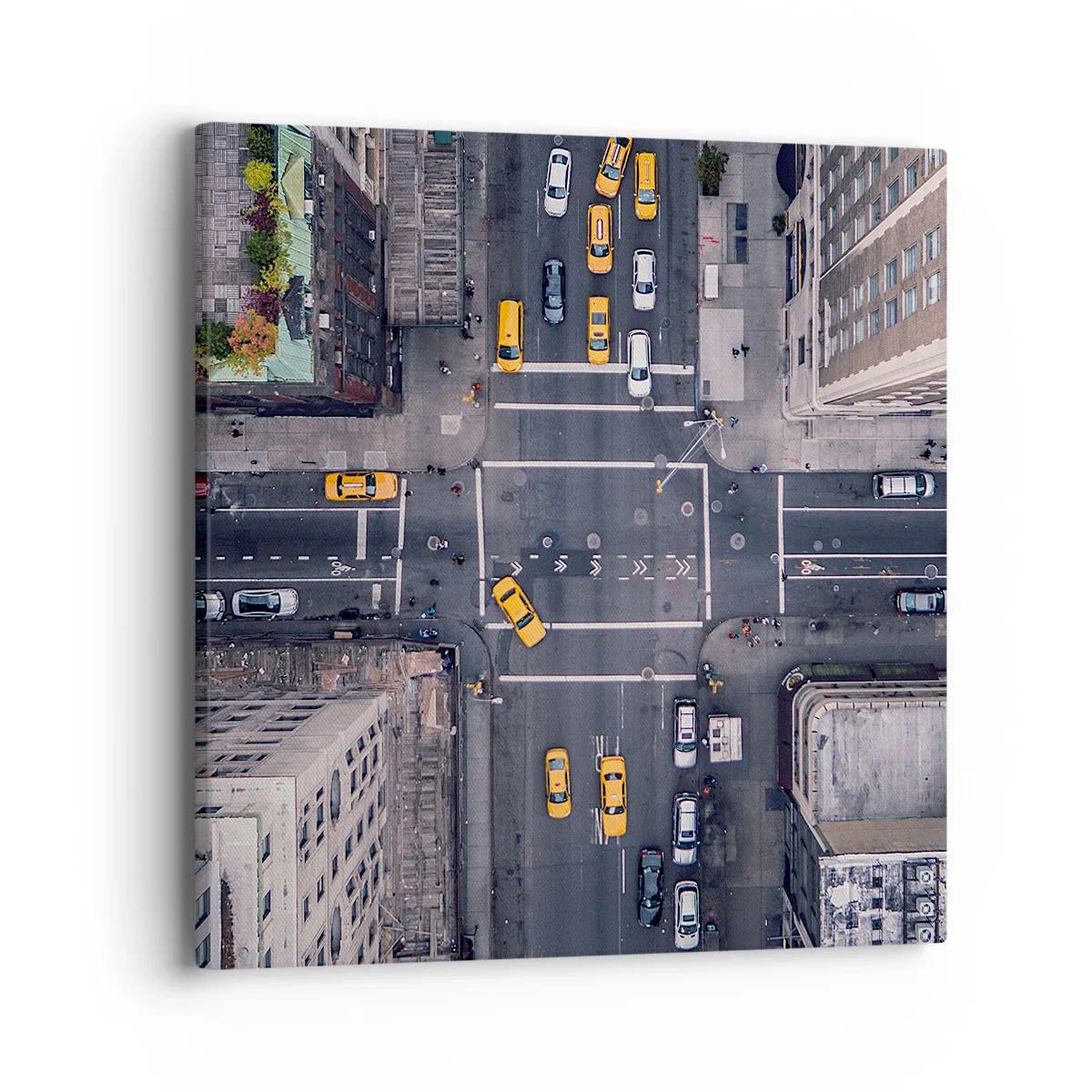 Tablou pe pânză - O alegere simplă - 40x40 cm