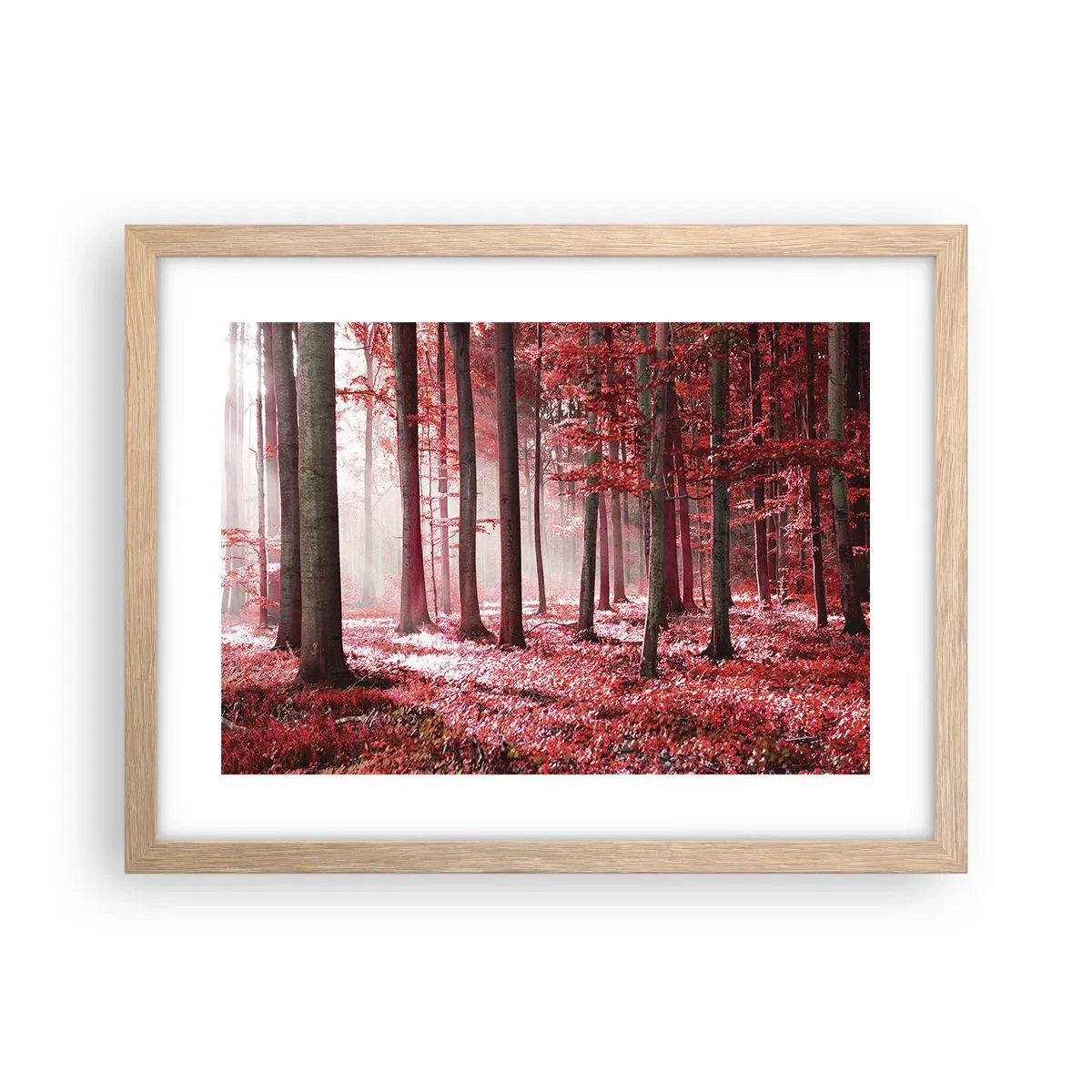 Poster în ramă de stejar deschis - Roșie este la fel de frumoasă - 40x30 cm