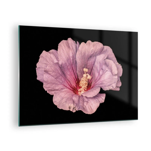 Tablou pe sticlă - Prim-plan al unei flori de hibiscus roz pe un fundal negru - 70x50cm - Direct la inimă - Decorațiune modernă pentru perete pentru living și dormitor ARTTOR