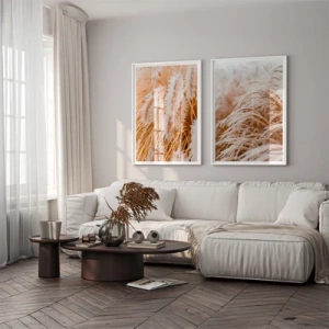 Ornamental grass - Inspirație pentru sufragerie
