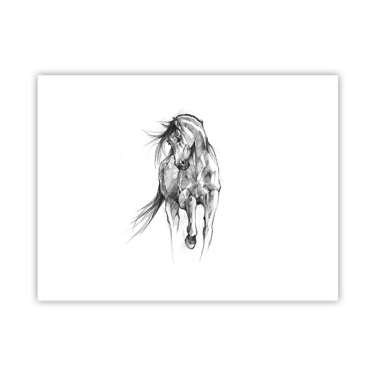 Poster - Într-un trap grațios - 40x30 cm