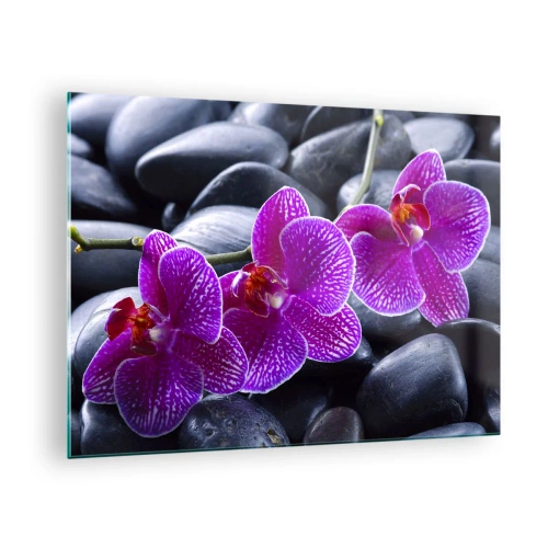 Tablou pe sticlă - Orhidee violete pe un fundal de pietre netede - 70x50cm - Pietrele s-au luminat de încântare - Decorațiune modernă pentru perete pentru living și dormitor ARTTOR